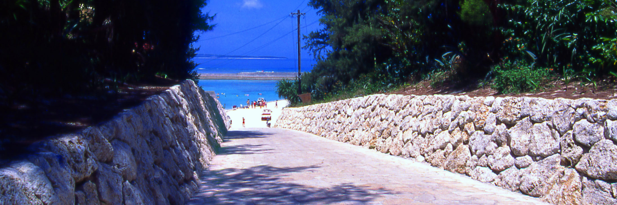 水納島の写真
