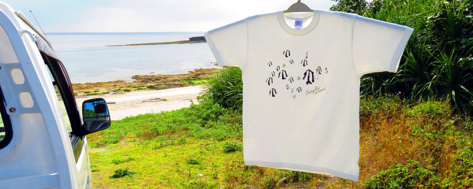 Tシャツの写真